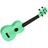 Recycled Waterman Soprano Sea Foam Green Kala