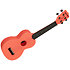 Recycled Waterman Soprano Pink Dust Kala