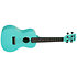 Recycled Waterman Concert Aqua Mist Phosphorescent Kala