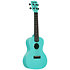 Recycled Waterman Concert Aqua Mist Phosphorescent Kala
