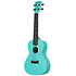 Recycled Waterman Concert Aqua Mist Phosphorescent Kala