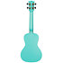 Recycled Waterman Concert Aqua Mist Phosphorescent Kala