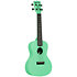 Recycled Waterman Concert Sea Foam Green Kala
