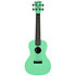 Recycled Waterman Concert Sea Foam Green Kala