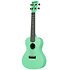 Recycled Waterman Concert Sea Foam Green Kala