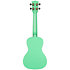Recycled Waterman Concert Sea Foam Green Kala