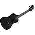 Recycled Waterman Concert Black Sand Kala