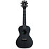 Recycled Waterman Concert Black Sand Kala