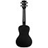 Recycled Waterman Concert Black Sand Kala