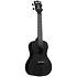 Recycled Waterman Concert Black Sand Kala
