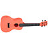 Recycled Waterman Concert Pink Dust Kala