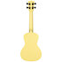 Recycled Waterman Concert Starlight Yellow Glow in the Dark Kala