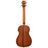 Satin Mahogany Bariton électro-acoustique Gaucher Kala