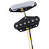 Jeu de micros Telecaster 50/51 Custom Shop Blackguard Fender