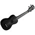 Recycled Learn To Play Color Chord Soprano Kala