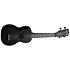 Recycled Learn To Play Color Chord Soprano Kala