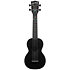 Recycled Learn To Play Color Chord Soprano Kala