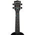 Recycled Learn To Play Color Chord Soprano Kala