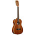 Gloss Mahogany Bariton 8 Strings Kala