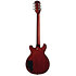 Les Paul Special Double Cut Figured Bourbon Burst Epiphone