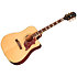 Hummingbird Standard EC Natural + Housse Epiphone