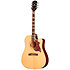 Hummingbird Standard EC Natural + Housse Epiphone