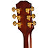 Hummingbird Standard EC Natural + Housse Epiphone