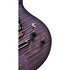 M600 Trans Purple Burst Cort