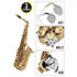 CPSA Pack entretien saxophone alto BG
