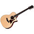 314ce Next Generation Taylor