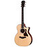 314ce Next Generation Taylor