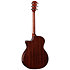 314ce Next Generation Taylor