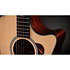 314ce Next Generation Taylor