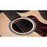 314ce Next Generation Taylor