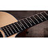 314ce Next Generation Taylor
