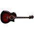 324ce Next Generation Taylor