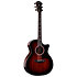 324ce Next Generation Taylor