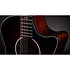 324ce Next Generation Taylor