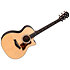 414ce Natural Next Generation Taylor