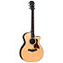 414ce Natural Next Generation Taylor