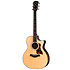 414ce Natural Next Generation Taylor