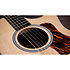 414ce Natural Next Generation Taylor