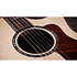 814ce Next Generation Natural + Etui Taylor