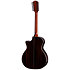 854ce Next Generation Natural + Etui Taylor