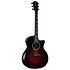 Builder's Edition 324ce Next Generation Tobacco Kona Burst + Etui Taylor