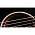 Builder's Edition 814ce Next Generation Blacktop + Etui Taylor