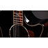 Builder's Edition 814ce Next Generation Blacktop + Etui Taylor