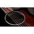 Builder's Edition 814ce Next Generation Blacktop + Etui Taylor