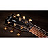 Builder's Edition 814ce Next Generation Blacktop + Etui Taylor