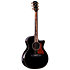 Builder's Edition 814ce Next Generation Blacktop + Etui Taylor